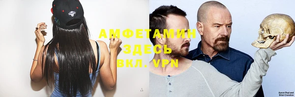 стаф Аркадак