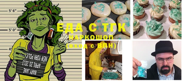 стаф Аркадак