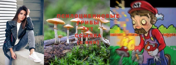бошки Балахна