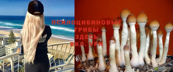 молекула духа Армянск