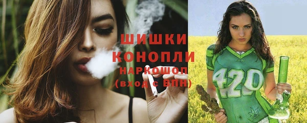 стаф Аркадак