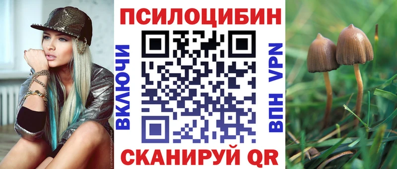 MEGA сайт  Красный Холм  Галлюциногенные грибы мицелий 